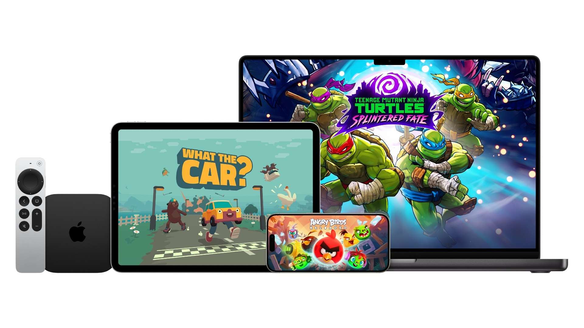 职业生涯的 职业生涯的